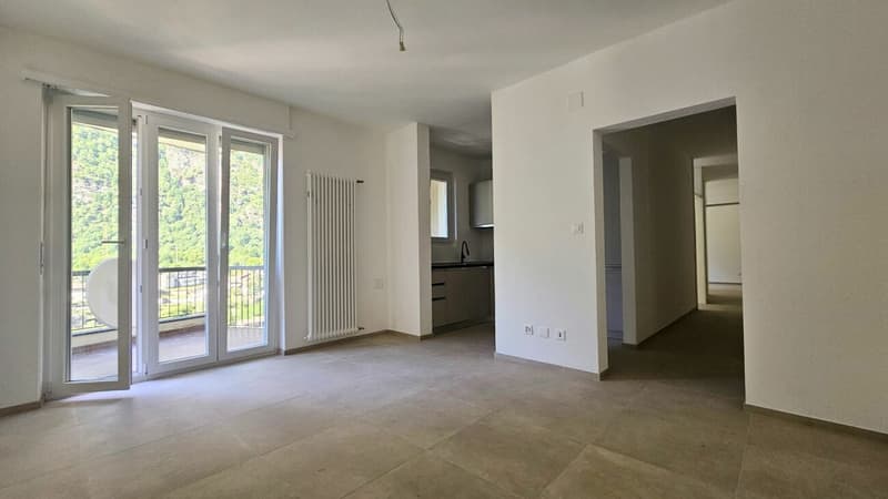 Interesting 3.5-room apartments (3)