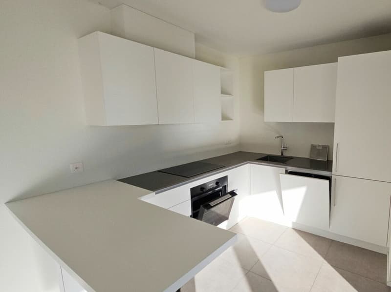 Spacious and Modern Apartment in Malvaglia (4)