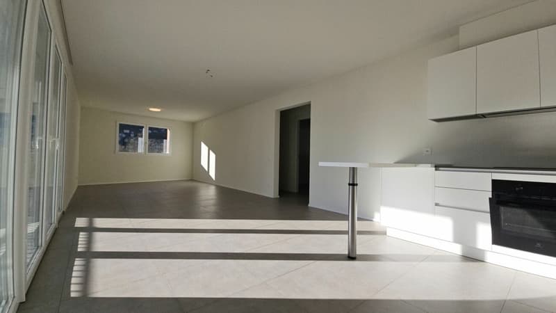 Spacious and Modern Apartment in Malvaglia (8)