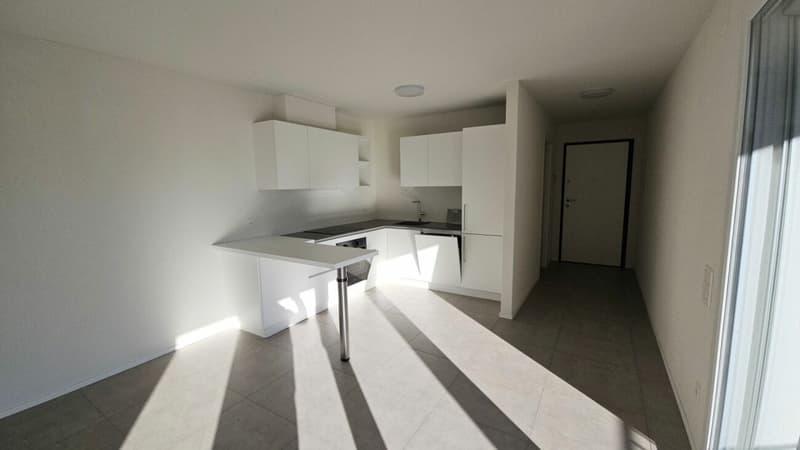 Spacious and Modern Apartment in Malvaglia (5)