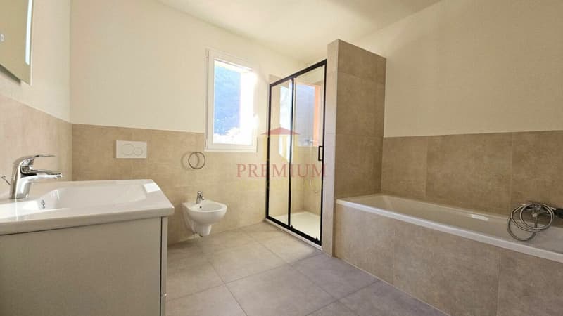 AMPIO 4.5 LOCALI IN AFFITTO (9)