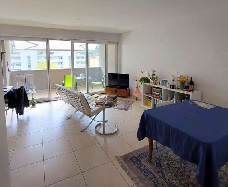 AMPIO 2.5 LOCALI A BELLINZONA (7)