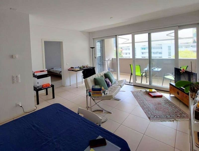 AMPIO 2.5 LOCALI A BELLINZONA (6)