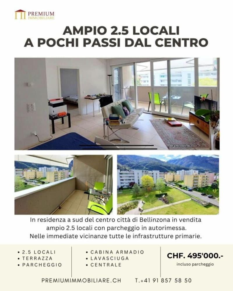 AMPIO 2.5 LOCALI A BELLINZONA (1)