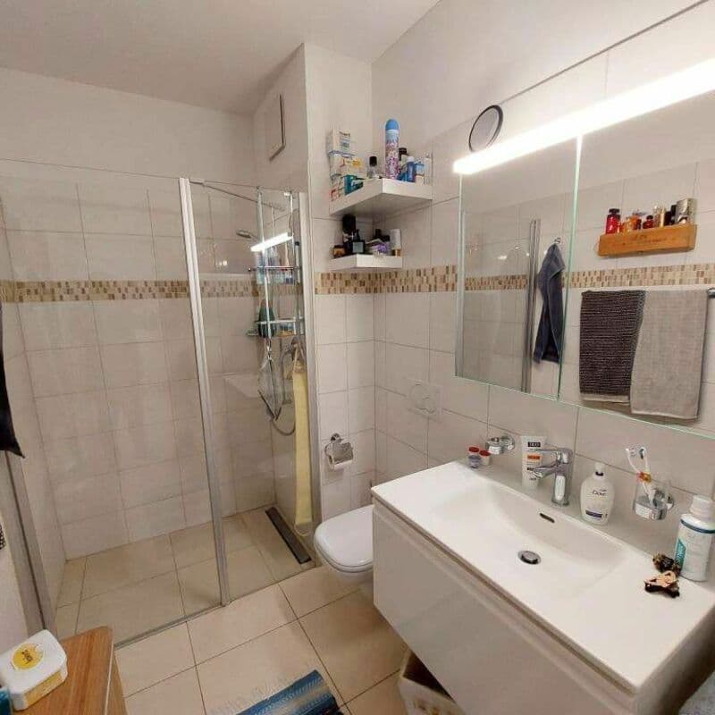 AMPIO 2.5 LOCALI A BELLINZONA (10)