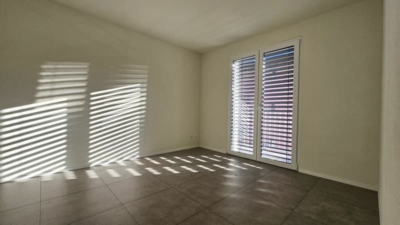 APPARTAMENTO 3.5 LOCALI CON GIARDINO (9)
