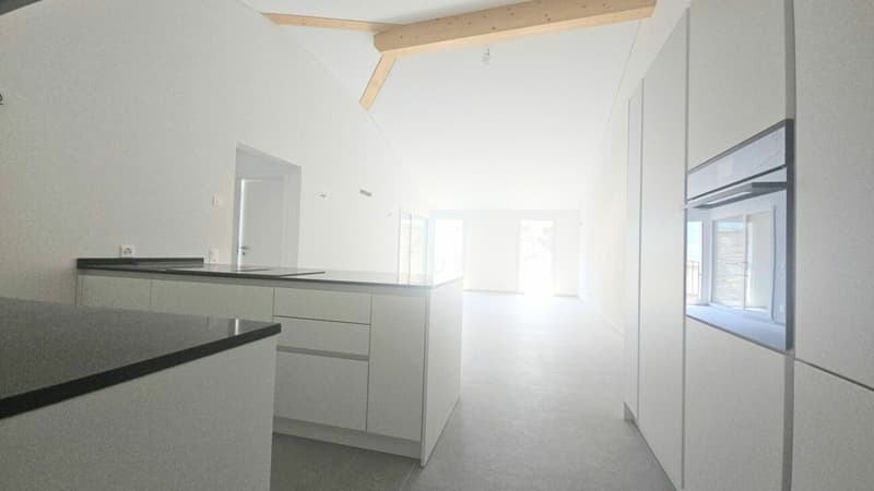 NUOVI 3.5 LOCALI IN CENTRO A BIASCA (5)