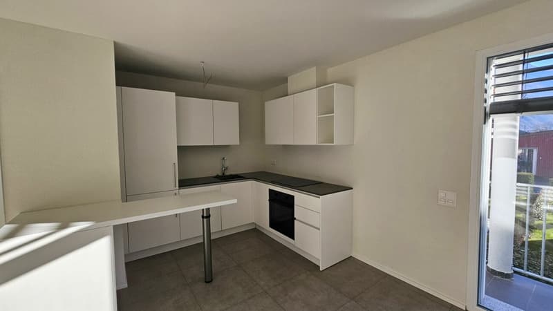 APPARTAMENTO 3.5 LOCALI CON GIARDINO (8)