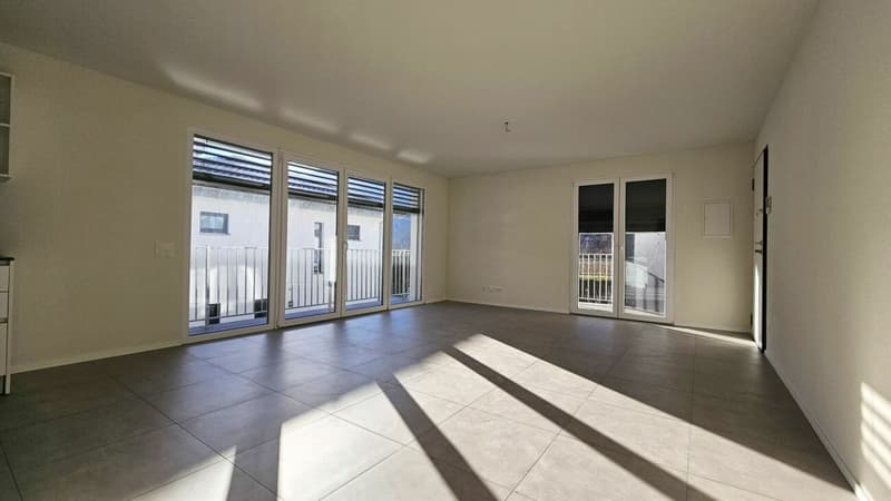 APPARTAMENTO 3.5 LOCALI CON GIARDINO (5)