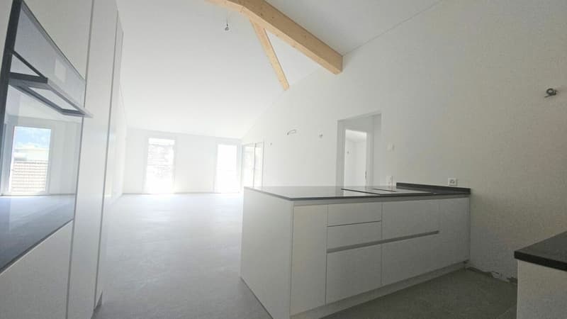 NUOVI APPARTAMENTI 2.5 LOCALI A BIASCA (4)
