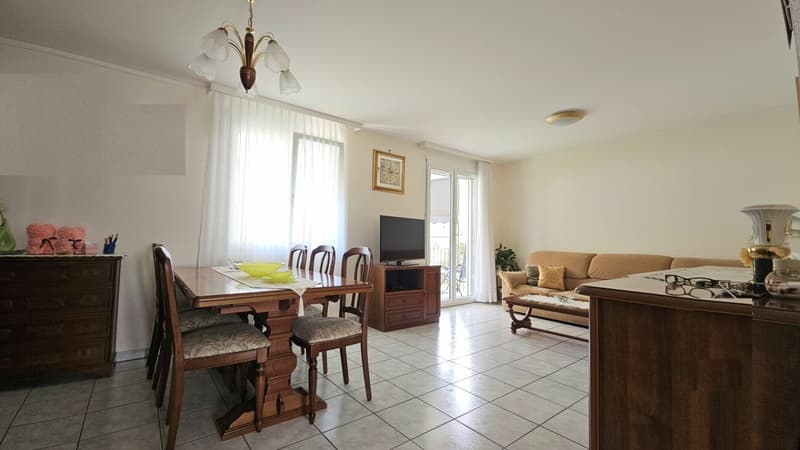 APPARTAMENTO AD ARBEDO CON AMPIO GIARDINO (6)