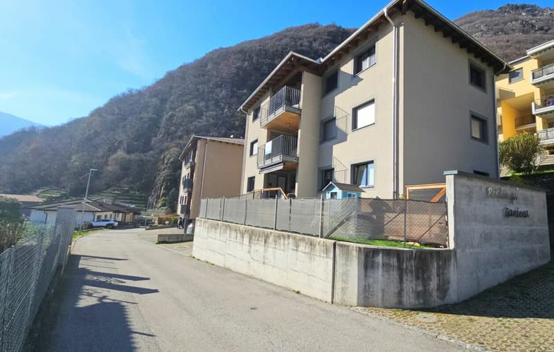 OTTIMA OPPORTUNITÀ: 4.5 LOCALI CON GIARDINO (3)