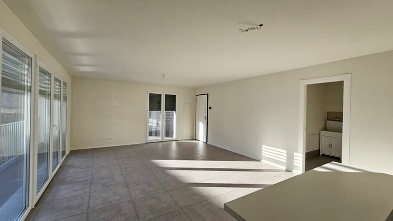 APPARTAMENTO 3.5 LOCALI CON GIARDINO (6)