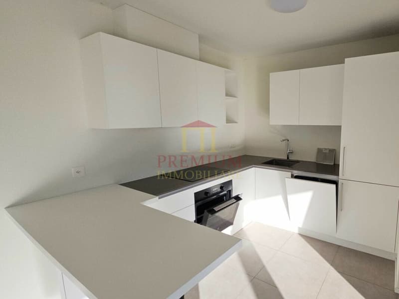 AMPIO APPARTAMENTO MODERNO IN AFFITTO (1)