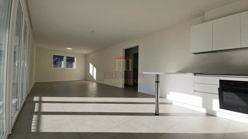 AMPIO APPARTAMENTO MODERNO IN AFFITTO (4)