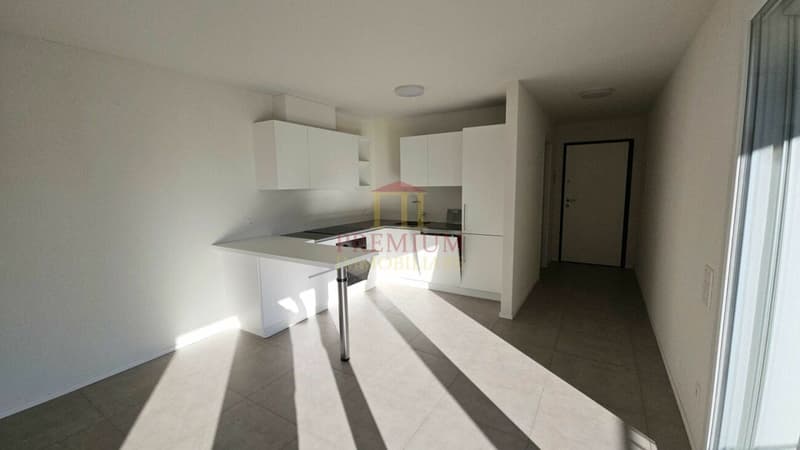 AMPIO APPARTAMENTO MODERNO IN AFFITTO (2)
