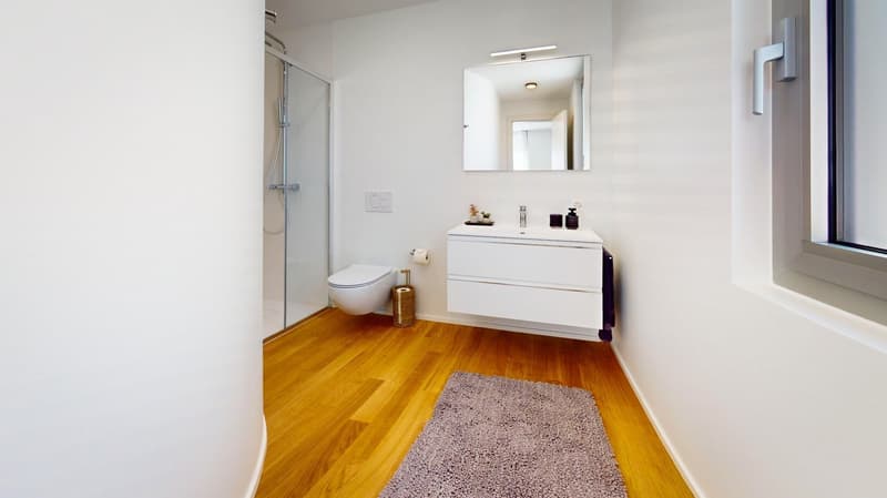 Bathroom with white walls, wooden floor, white vanity, mirror, toilet, shower, rug, and a window.