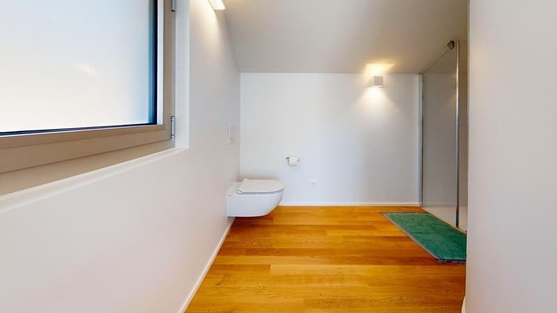 Bathroom with white walls, wooden floor, white toilet, glass shower, green rug, window