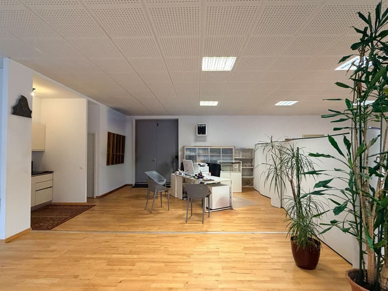 Open office with desk, two chairs, a cabinet, a printer, plants, light colored flooring, ceiling with recessed lighting