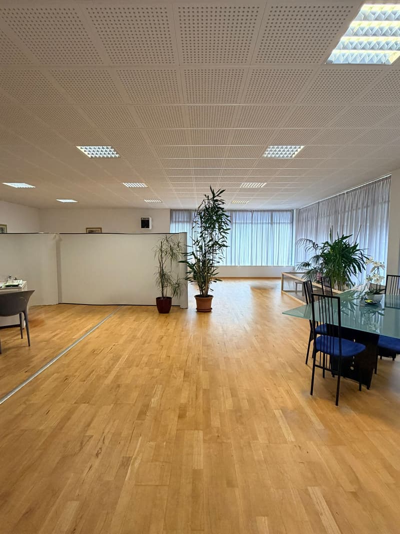Commercial property with offices and laboratory in Grono (GR) (3)