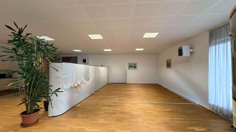 large room, hardwood floor, white walls, ceiling lights, two paintings, curtain, white partitions, potted plants
