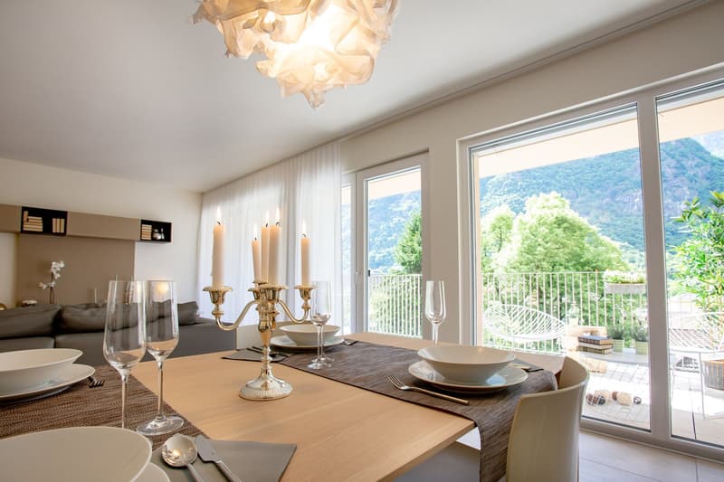 Moderno appartamento di 2.5 locali con ampio balcone a Roveredo (GR) (2)