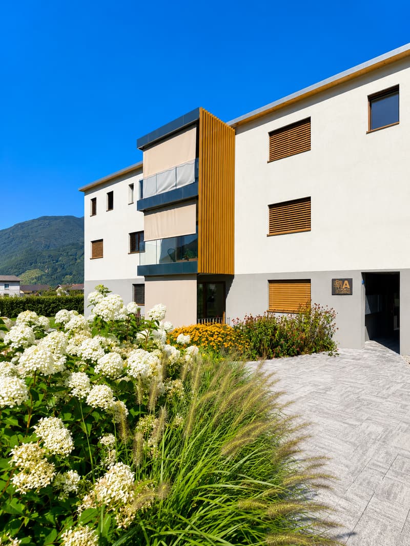 Modern 2.5-room apartment with terrace - Lumino (TI) (7)