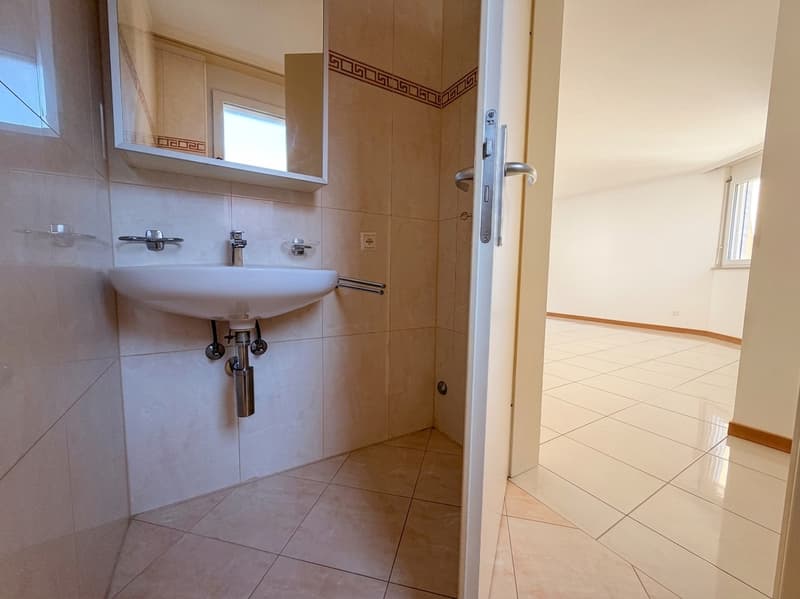 Appartement accueillant de 3,5 pièces à Quartino (7)