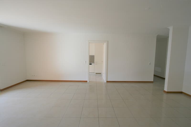 Elegante e tranquilla Residenza - ampio 3.5 locali (98 mq) con spaziosa terrazza coperta - Ascona (5)