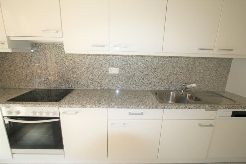 Elegante e tranquilla Residenza - ampio 3.5 locali (98 mq) con spaziosa terrazza coperta - Ascona (7)