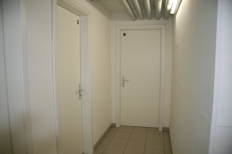 Dachwohnung 3.5 Zimmer - zentrale aber ruhige Lage im Grünen (13)