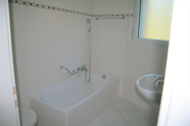 Dachwohnung 3.5 Zimmer - zentrale aber ruhige Lage im Grünen (10)