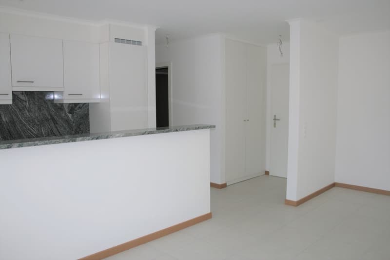 Appartamento funzionale di 3.5 locali con balcone (6)