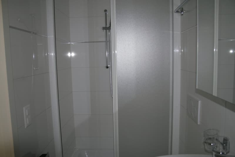 Appartamento funzionale di 3.5 locali con balcone (12)