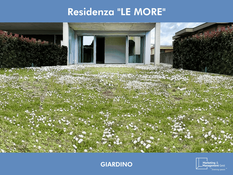 3 locaux lumineux, récent, de qualité avec grand jardin (3)