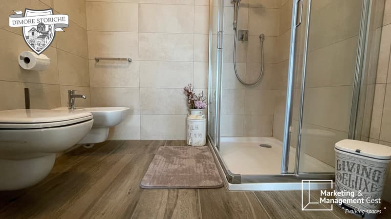 FURNISHED 3.5 ROOM APARTMENT OF GREAT CHARM, SOUGHT-AFTER, QUIET (23)