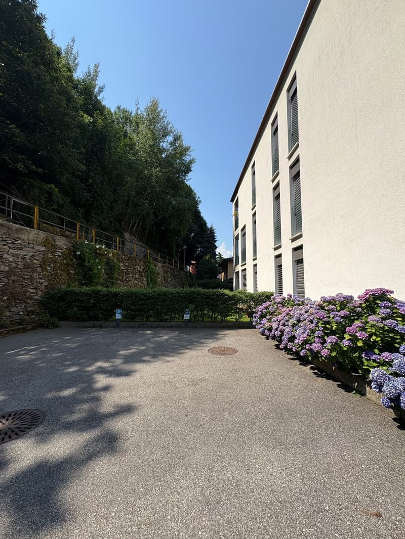 Wohnung in Giubiasco zum Verkauf (58)