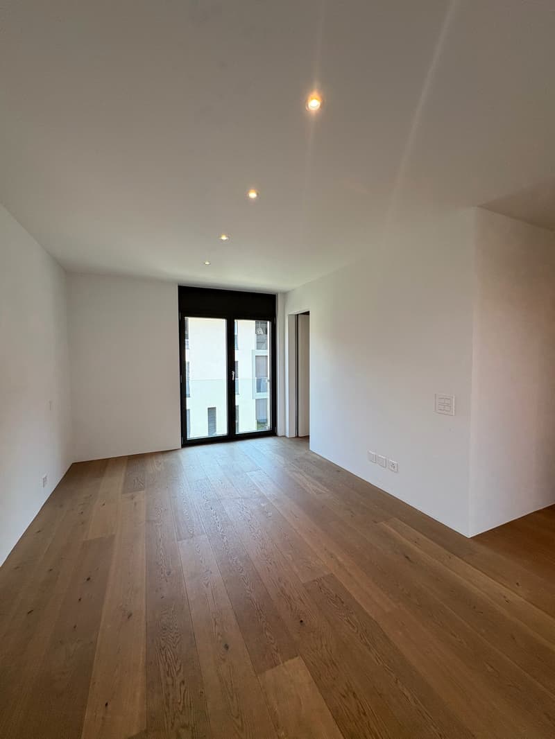 Wohnung in Giubiasco zum Verkauf (42)