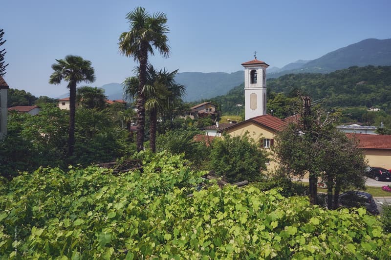 Large 11-room house for rent in Origlio, surrounded by greenery (5)