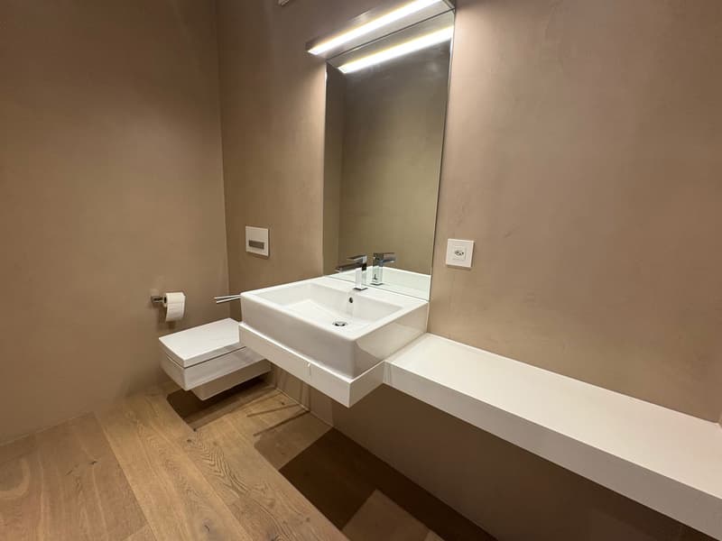 Modern 5.5-room attic for rent in Giubiasco (26)