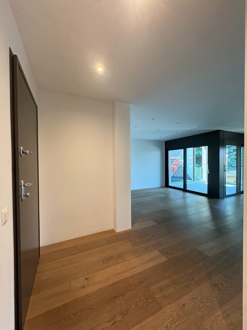Modern 5.5-room attic for rent in Giubiasco (10)