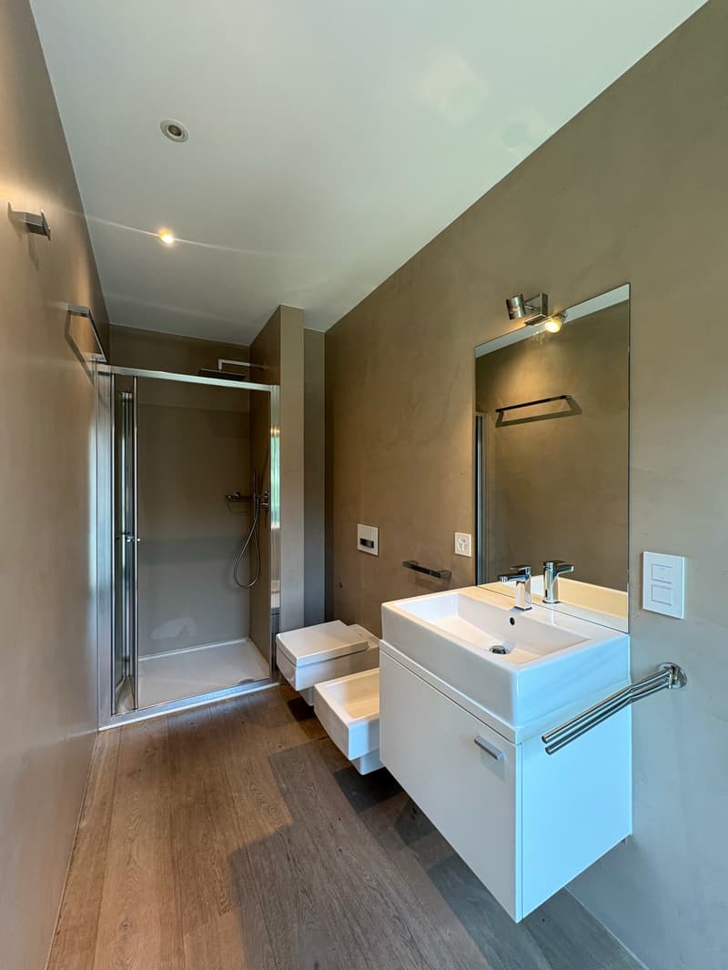 Modern 5.5-room attic for rent in Giubiasco (31)