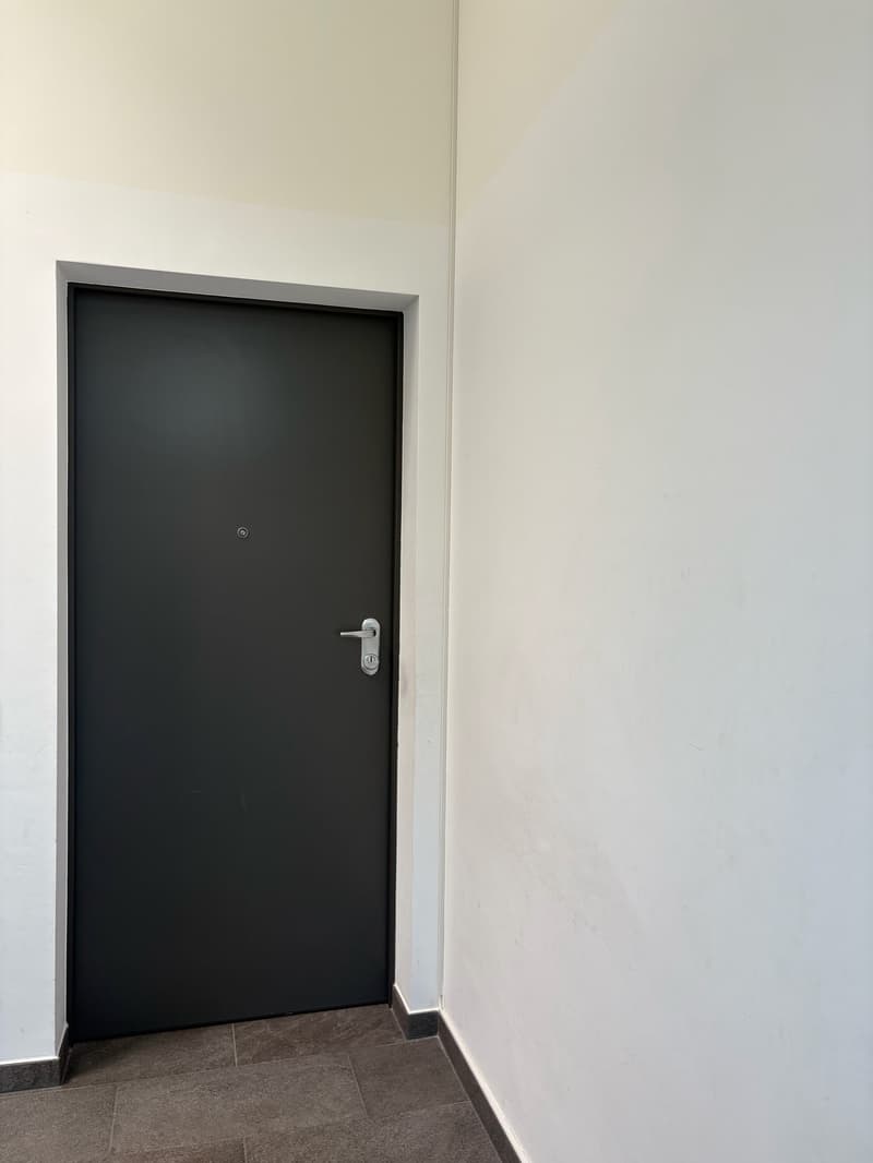 Modern 5.5-room attic for rent in Giubiasco (9)