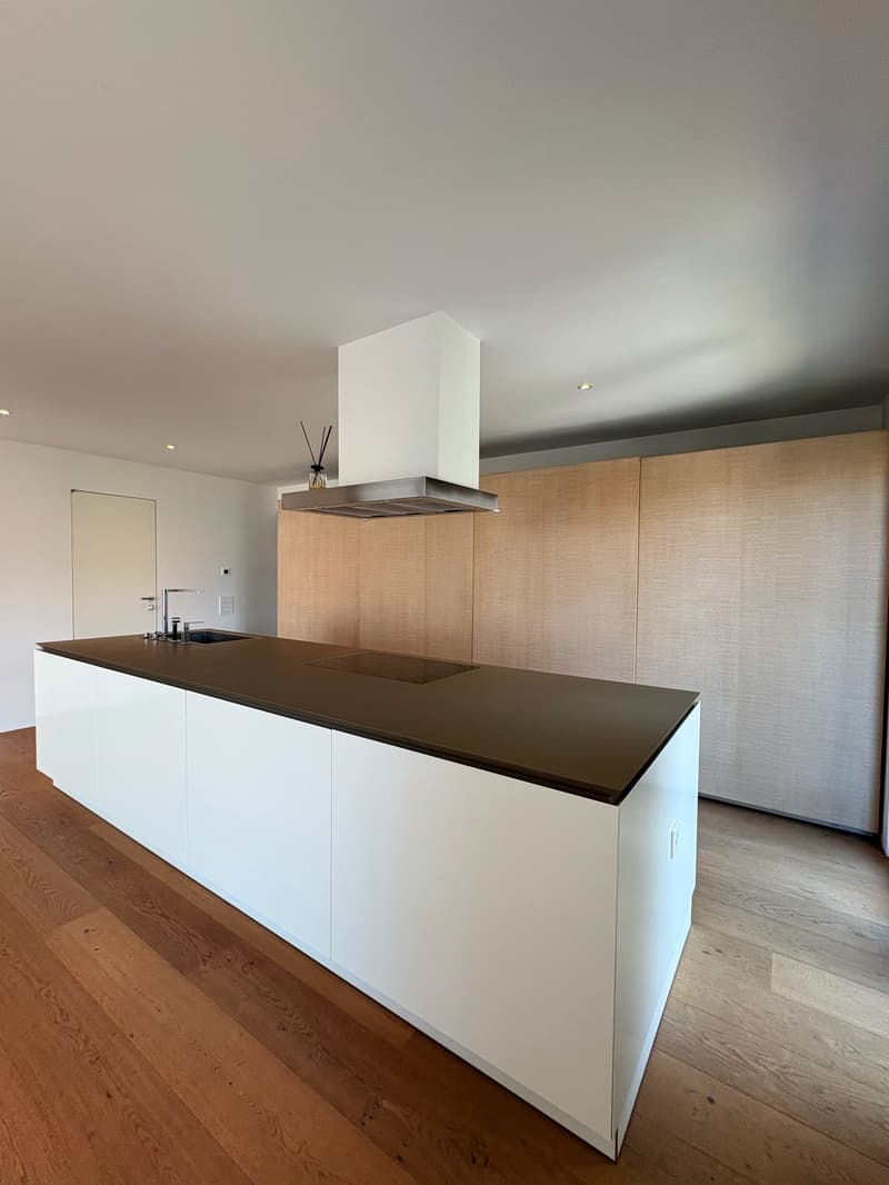 Modern 5.5-room attic for rent in Giubiasco (21)