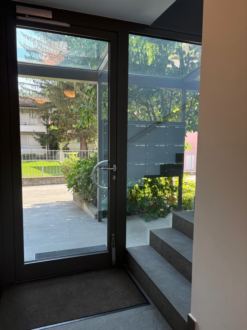 Modern 5.5-room attic for rent in Giubiasco (7)