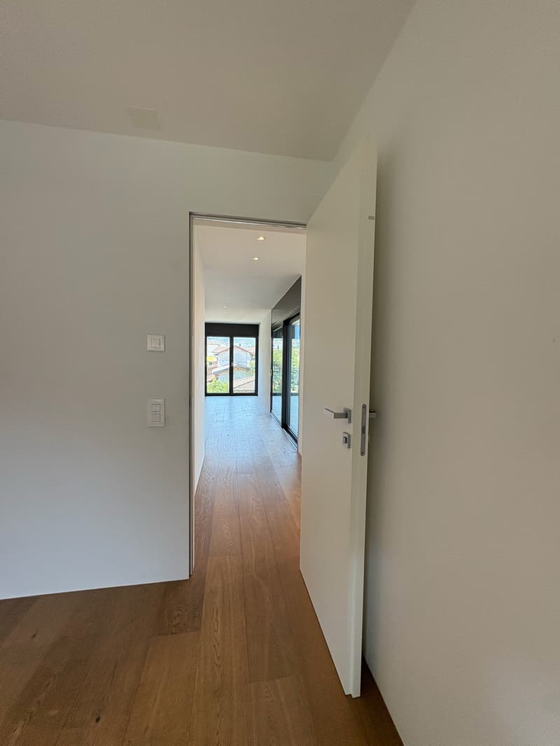 Modern 5.5-room attic for rent in Giubiasco (28)