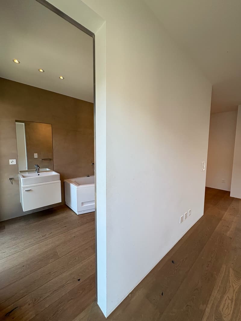 Modern 5.5-room attic for rent in Giubiasco (39)