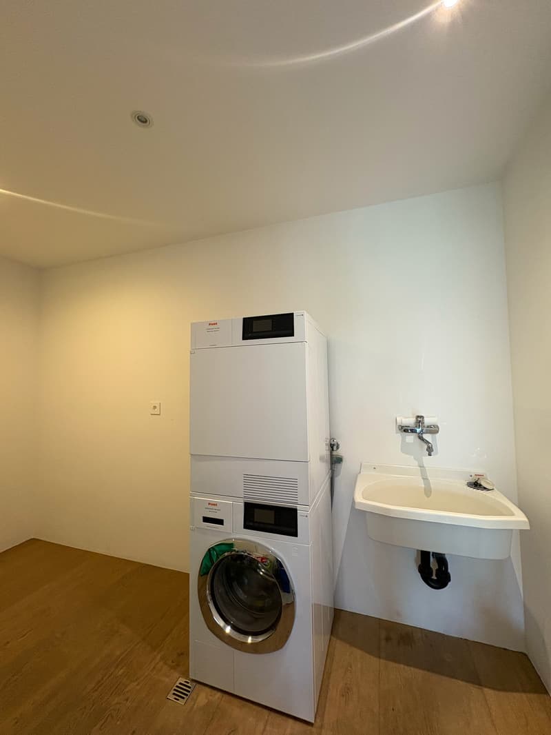 Modern 5.5-room attic for rent in Giubiasco (51)