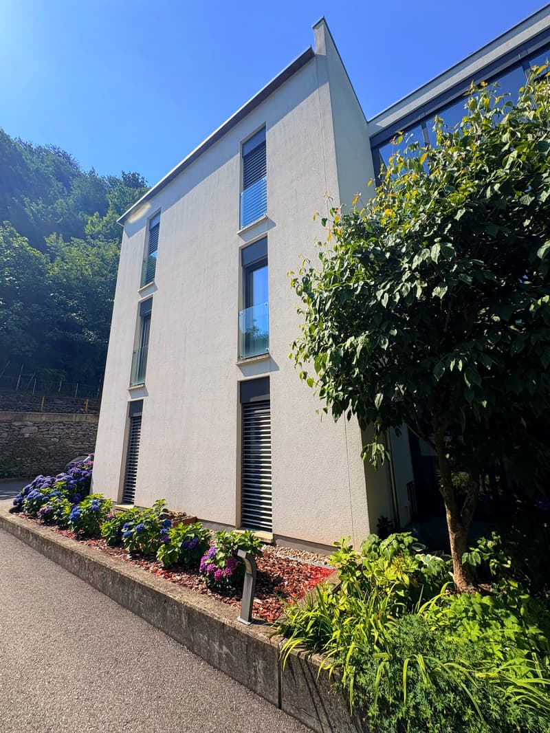 Modern 5.5-room attic for rent in Giubiasco (2)
