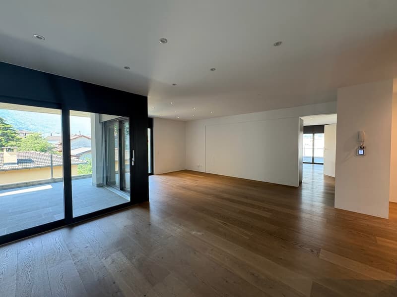 Modern 5.5-room attic for rent in Giubiasco (11)